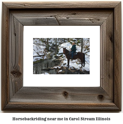 horseback riding near me in Carol Stream, Illinois